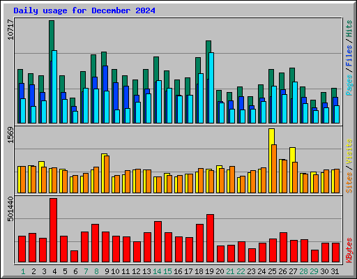 Daily usage for December 2024