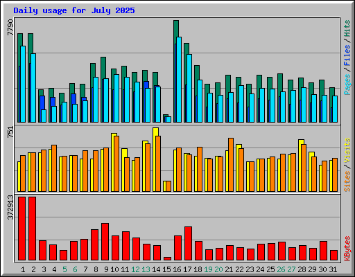Daily usage for July 2025
