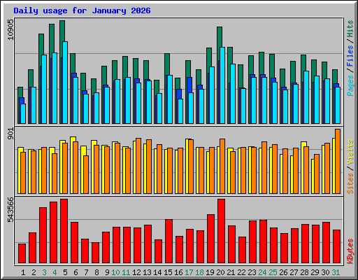Daily usage for January 2026