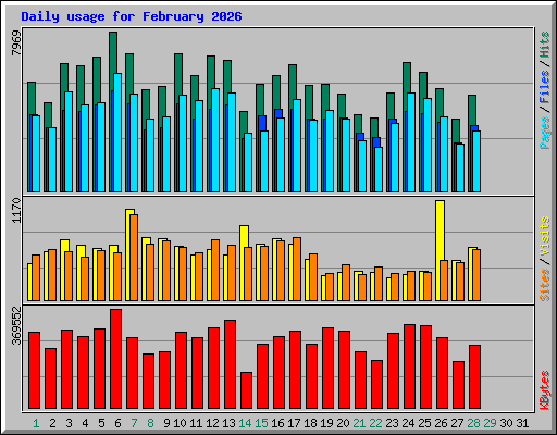 Daily usage for February 2026