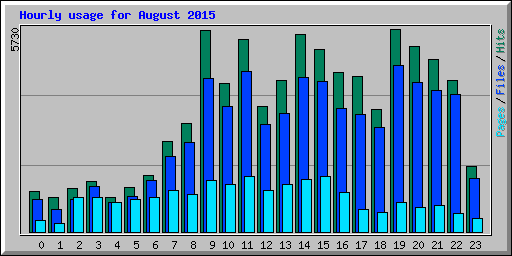 Hourly usage for August 2015