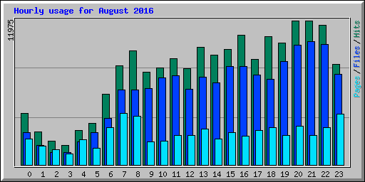 Hourly usage for August 2016