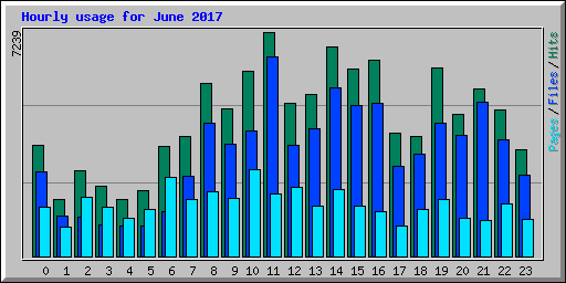 Hourly usage for June 2017