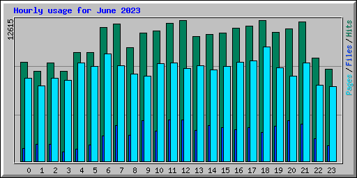 Hourly usage for June 2023
