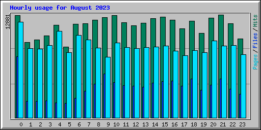 Hourly usage for August 2023