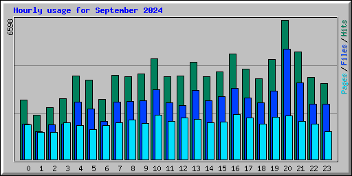 Hourly usage for September 2024