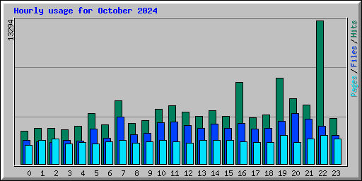 Hourly usage for October 2024