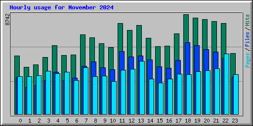 Hourly usage for November 2024