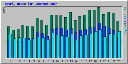 Hourly usage for December 2024