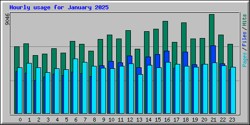 Hourly usage for January 2025