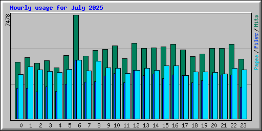 Hourly usage for July 2025