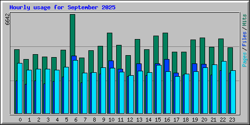 Hourly usage for September 2025