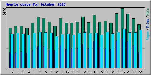 Hourly usage for October 2025