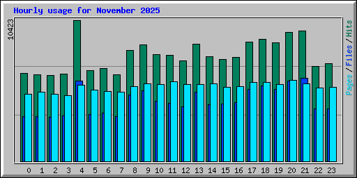 Hourly usage for November 2025