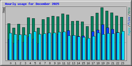 Hourly usage for December 2025