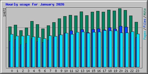 Hourly usage for January 2026
