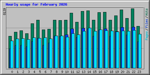 Hourly usage for February 2026