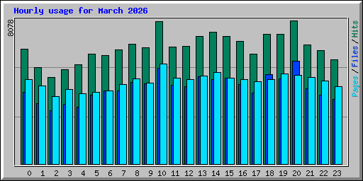 Hourly usage for March 2026