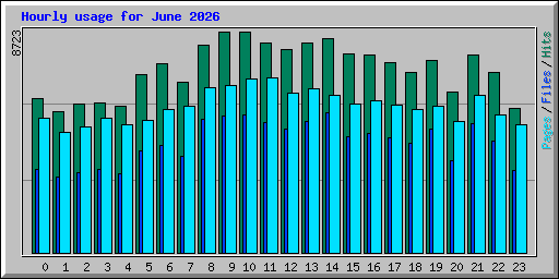 Hourly usage for June 2026
