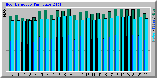 Hourly usage for July 2026