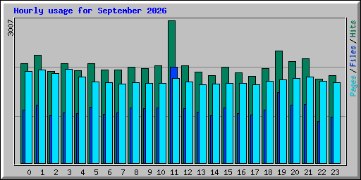 Hourly usage for September 2026