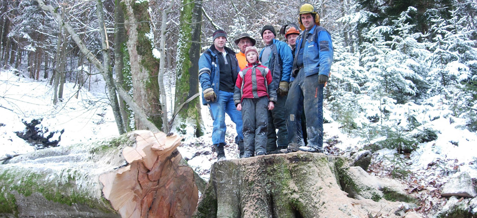 Baumfaellen01-940x430
